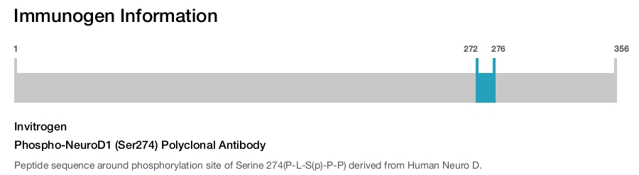 Phospho-NeuroD1 (Ser274) Polyclonal Antibody