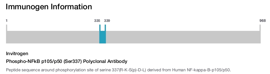 Phospho-NFkB p105/p50 (Ser337) Polyclonal Antibody