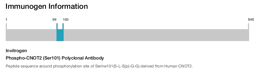 Phospho-CNOT2 (Ser101) Polyclonal Antibody