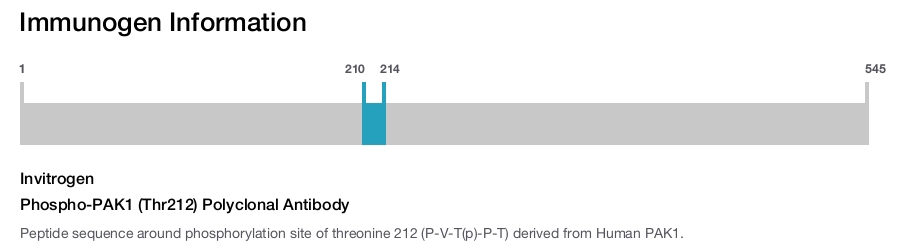 Phospho-PAK1 (Thr212) Polyclonal Antibody