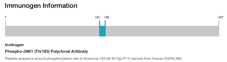 Phospho-JNK1 (Thr183) Polyclonal Antibody