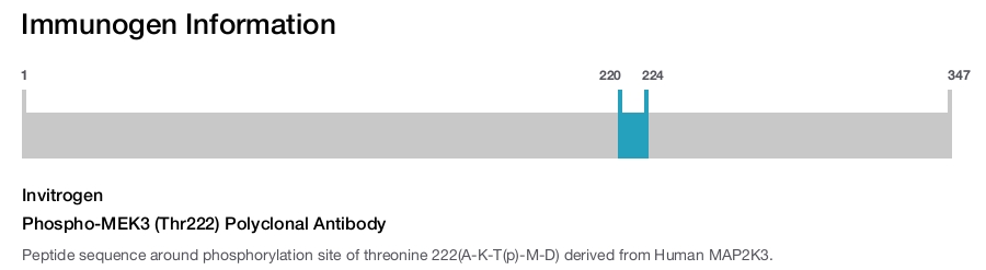 Phospho-MEK3 (Thr222) Polyclonal Antibody