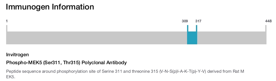 Phospho-MEK5 (Ser311, Thr315) Polyclonal Antibody