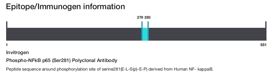Phospho-NFkB p65 (Ser281) Polyclonal Antibody