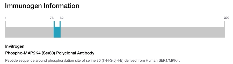 Phospho-MAP2K4 (Ser80) Polyclonal Antibody