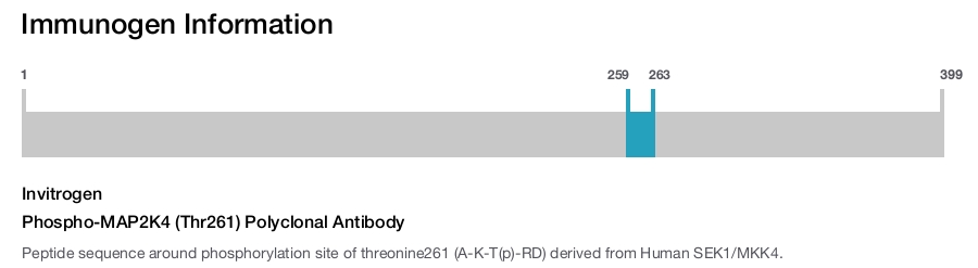 Phospho-MAP2K4 (Thr261) Polyclonal Antibody