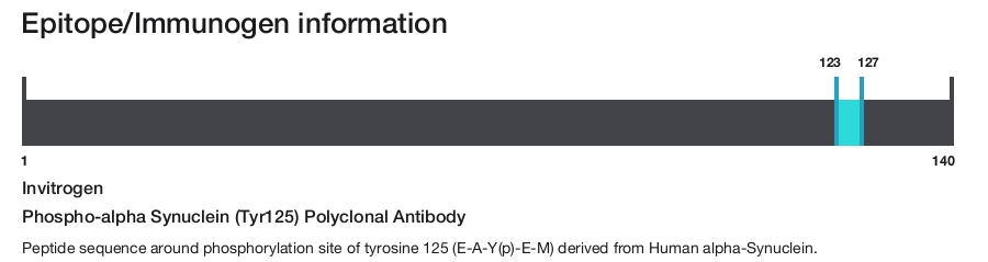 Phospho-alpha Synuclein (Tyr125) Polyclonal Antibody