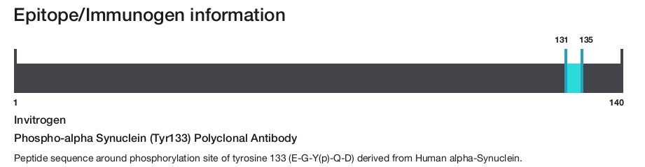 Phospho-alpha Synuclein (Tyr133) Polyclonal Antibody
