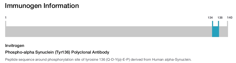 Phospho-alpha Synuclein (Tyr136) Polyclonal Antibody