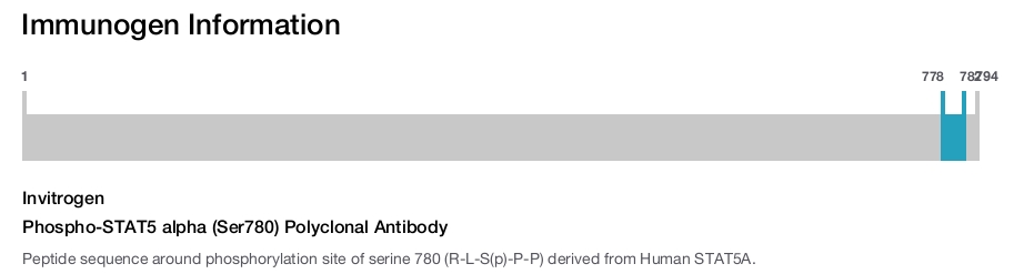 Phospho-STAT5 alpha (Ser780) Polyclonal Antibody