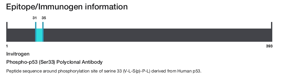 Phospho-p53 (Ser33) Polyclonal Antibody
