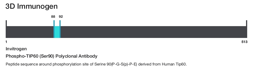 Phospho-TIP60 (Ser90) Polyclonal Antibody