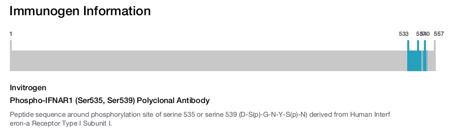 Phospho-IFNAR1 (Ser535, Ser539) Polyclonal Antibody