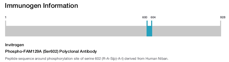 Phospho-FAM129A (Ser602) Polyclonal Antibody