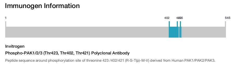 Phospho-PAK1/2/3 (Thr423, Thr402, Thr421) Polyclonal Antibody