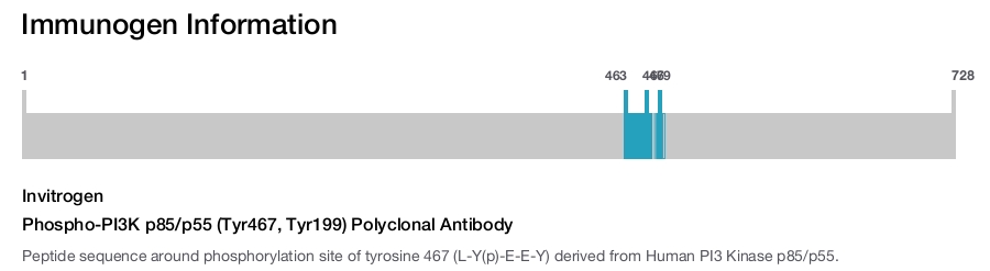 Phospho-PI3K p85/p55 (Tyr467, Tyr199) Polyclonal Antibody