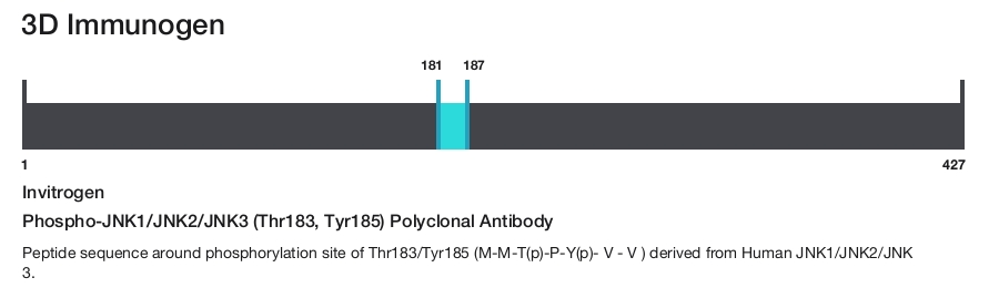 Phospho-JNK1/JNK2/JNK3 (Thr183, Tyr185) Polyclonal Antibody