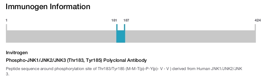 Phospho-JNK1/JNK2/JNK3 (Thr183, Tyr185) Polyclonal Antibody