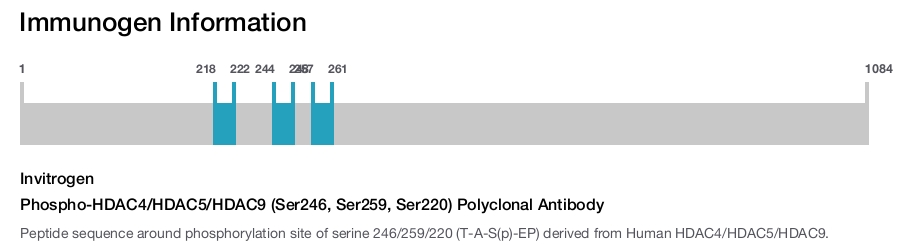 Phospho-HDAC4/HDAC5/HDAC9 (Ser246, Ser259, Ser220) Polyclonal Antibody