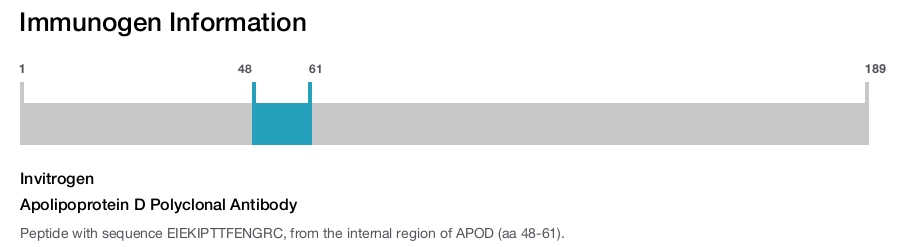 Apolipoprotein D Polyclonal Antibody
