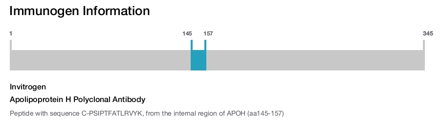 Apolipoprotein H Polyclonal Antibody