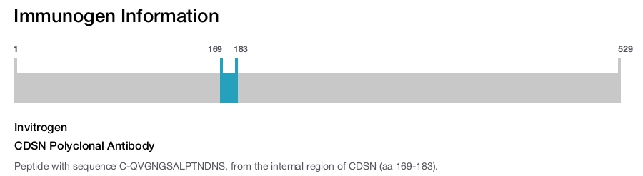 CDSN Polyclonal Antibody