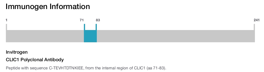 CLIC1 Polyclonal Antibody