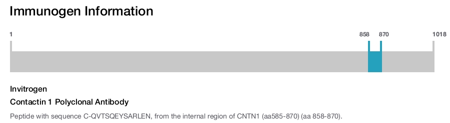 Contactin 1 Polyclonal Antibody