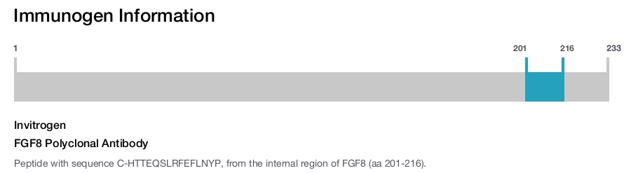 FGF8 Polyclonal Antibody