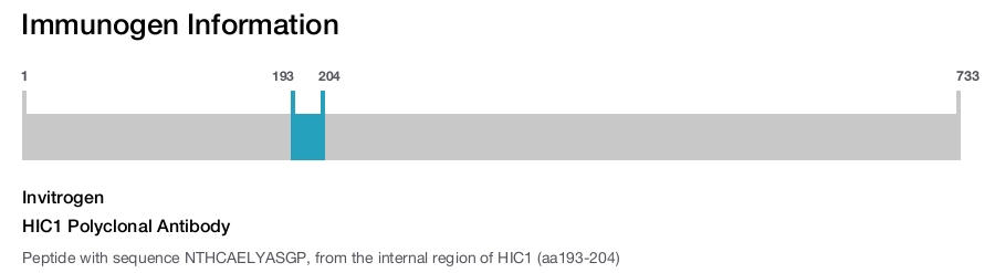 HIC1 Polyclonal Antibody