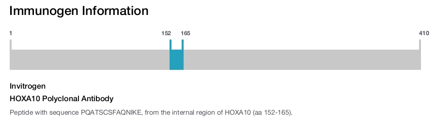 HOXA10 Polyclonal Antibody