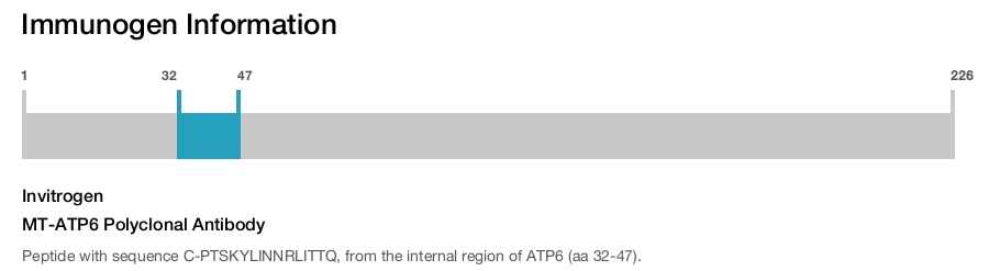 MT-ATP6 Polyclonal Antibody