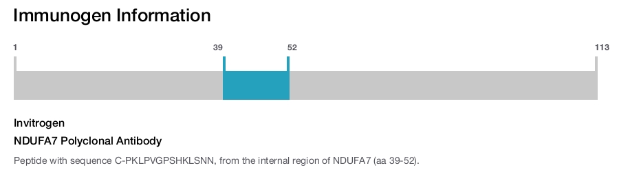 NDUFA7 Polyclonal Antibody