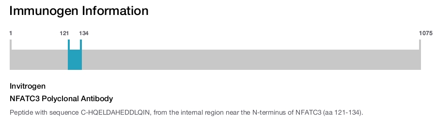 NFATC3 Polyclonal Antibody