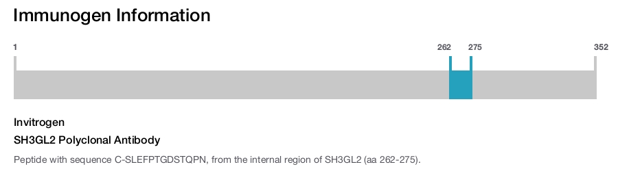 SH3GL2 Polyclonal Antibody