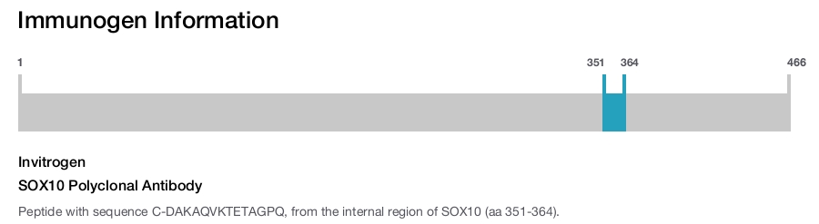 SOX10 Polyclonal Antibody