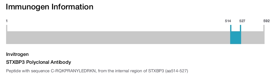 STXBP3 Polyclonal Antibody