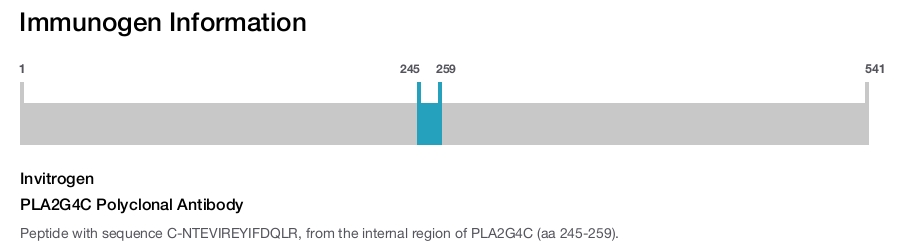 PLA2G4C Polyclonal Antibody