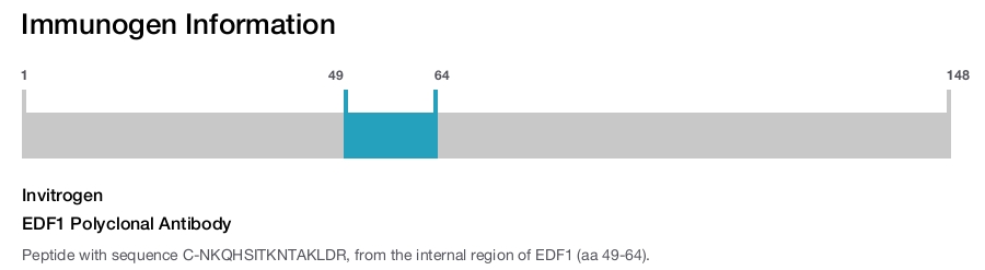 EDF1 Polyclonal Antibody