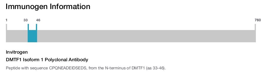 DMTF1 Isoform 1 Polyclonal Antibody