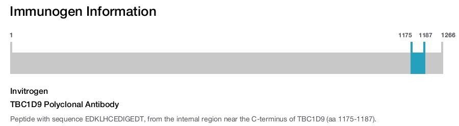 TBC1D9 Polyclonal Antibody