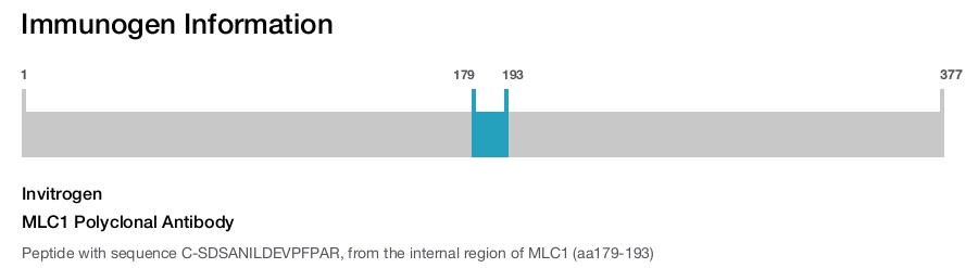 MLC1 Polyclonal Antibody