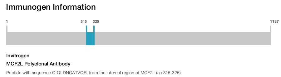 MCF2L Polyclonal Antibody