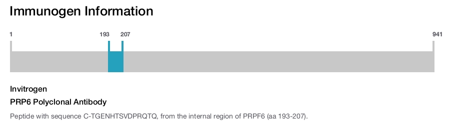 PRP6 Polyclonal Antibody