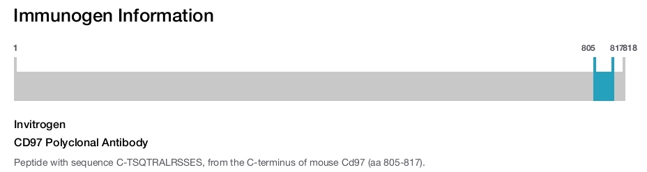 CD97 Polyclonal Antibody