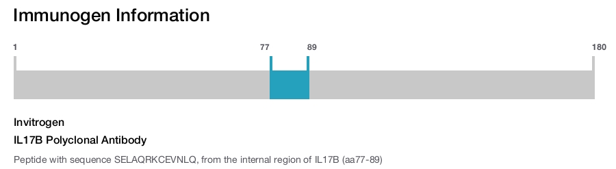 IL17B Polyclonal Antibody