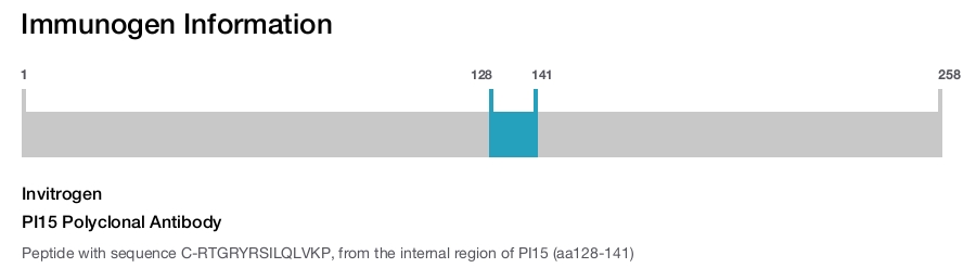 PI15 Polyclonal Antibody