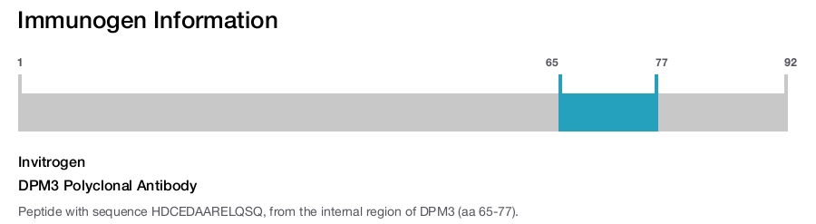 DPM3 Polyclonal Antibody