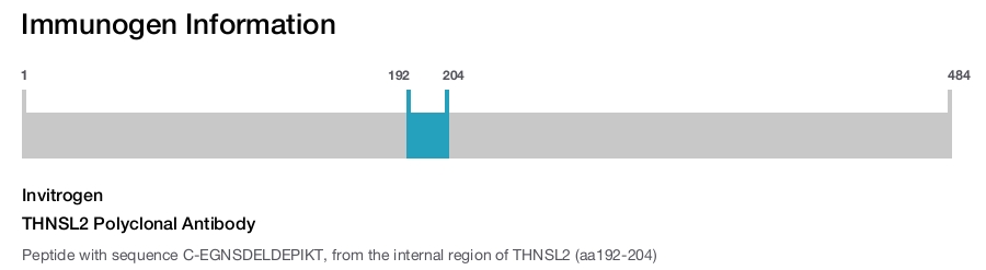 THNSL2 Polyclonal Antibody