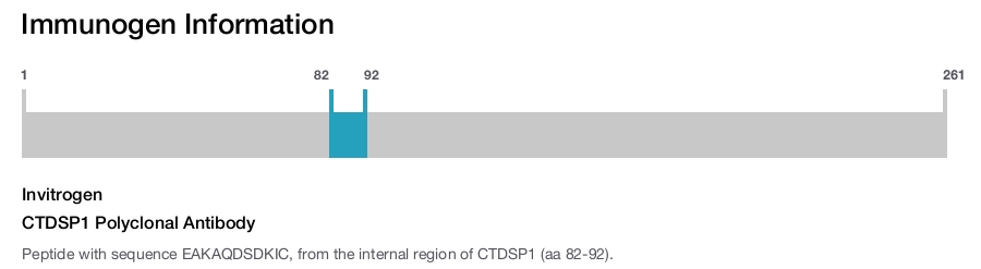 CTDSP1 Polyclonal Antibody